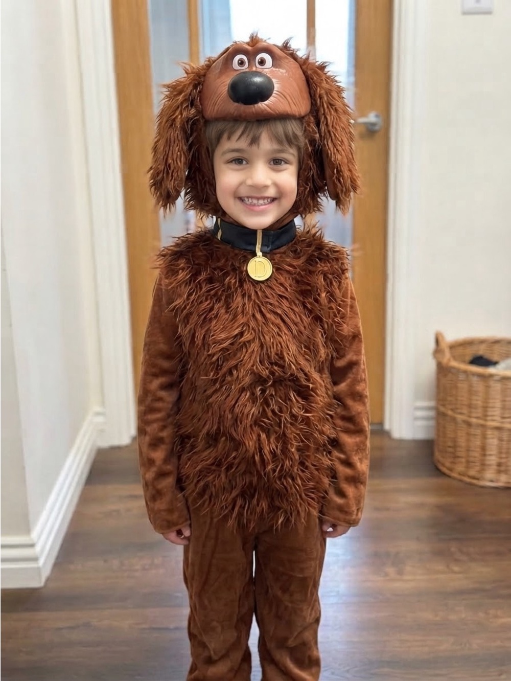 ILLUMINATION THE SECRET LIFE OF PETS Halloween Costume Brown Duke Dog Sz 4-6